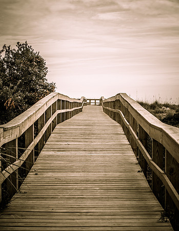 Walk to the Beach