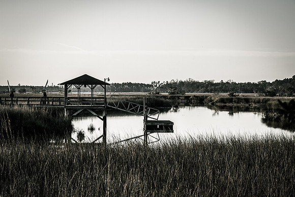 "Early Morning in the Marsh" - Limited Edition